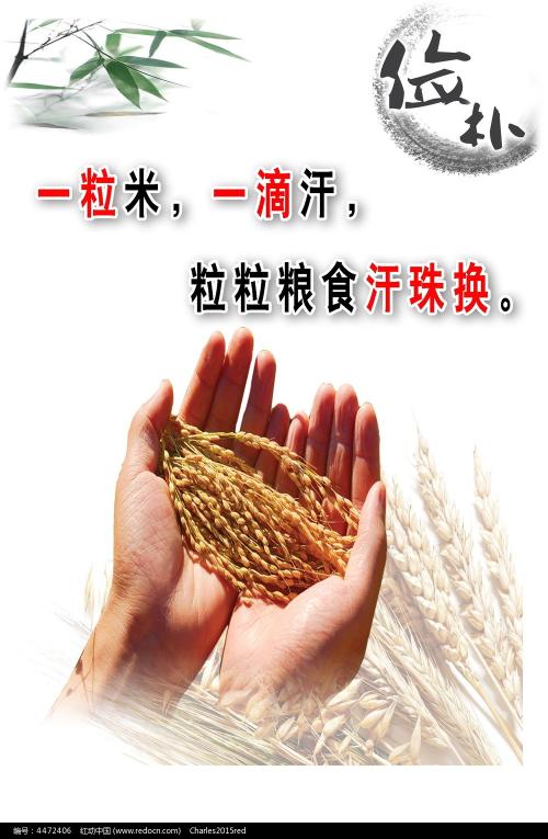 哪里可以制作德雷塞尔大学毕业证